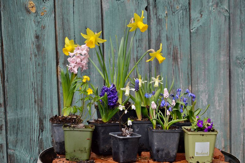 Über Uns im Gartenreich